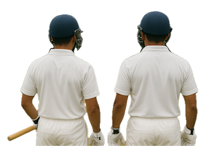 Cricket Training Session